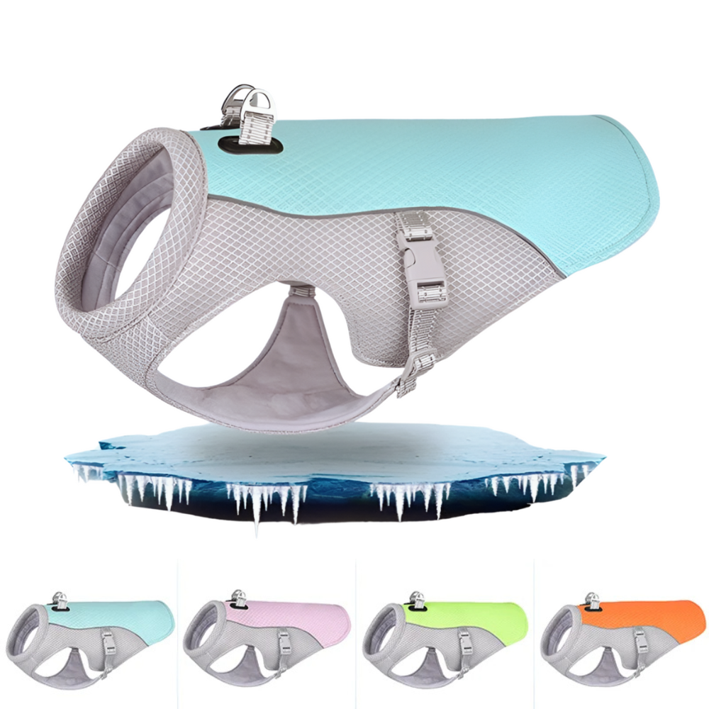 Chaleco refrescante de verano para perros