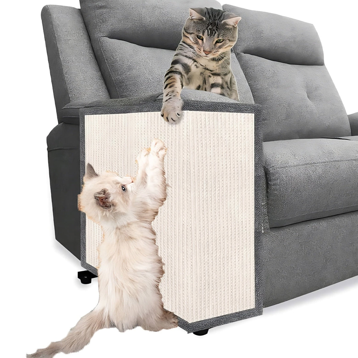 Protector de Sofá contra Arañazos de Gato