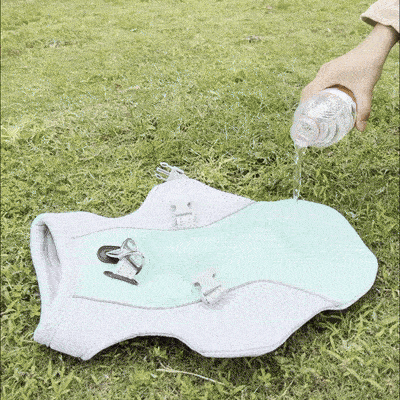 Chaleco refrescante de verano para perros